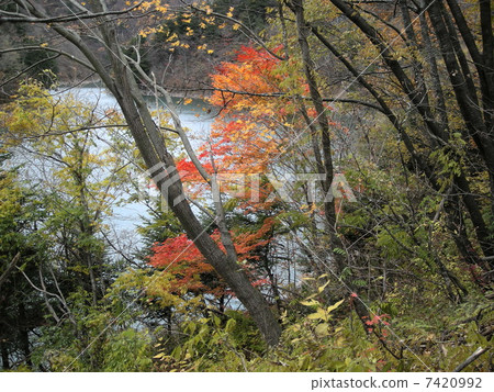 小秋天 小秋天 7420992