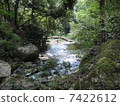 Valley 7422612
