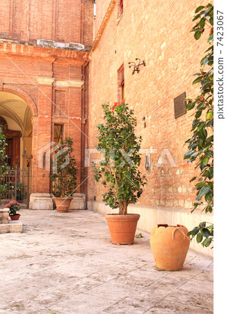 Patio in Sienna 7423067