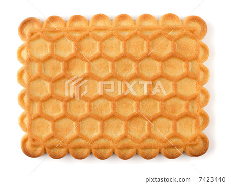 Biscuit 7423440