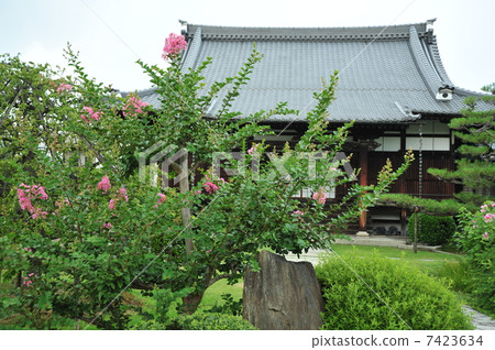 Kyoto Summer's Chiseokoin Kyoto Summer's Chiseokoin 7423634