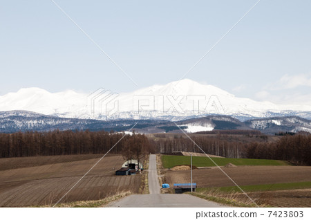 Masuzenyama在早春 7423803