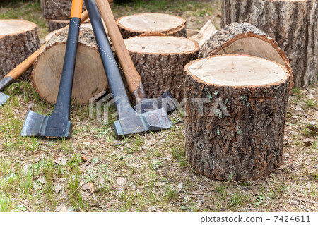 砍柴 7424611