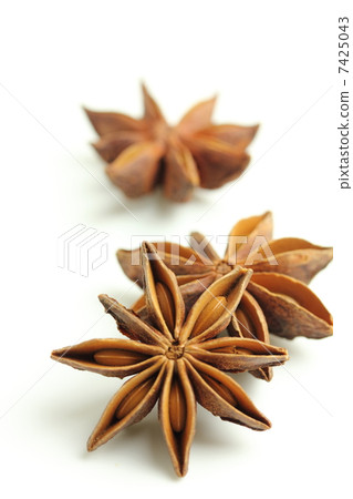 Spice octagonal star anise 7425043