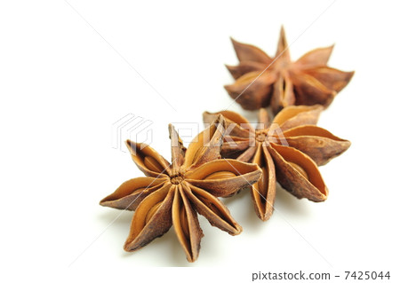 Spice octagonal star anise 7425044