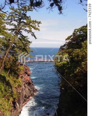 Shiogasaki coast 7425339