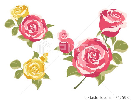 Rose illustration Rose illustration 7425981