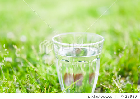 一杯水 一杯水 7425989