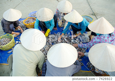 Vietnamese fishers Vietnamese fishers 7426922