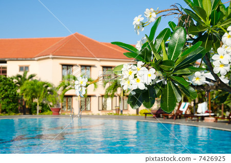 outdoor swimming pool 7426925