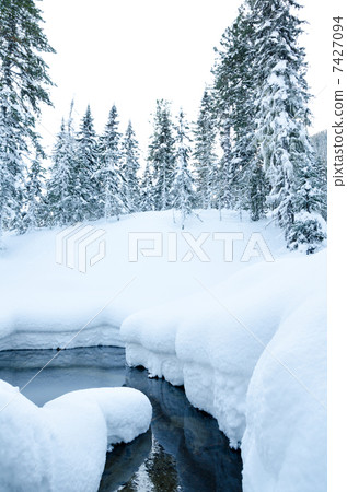 winter forest river 7427094