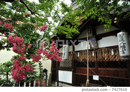 八幡宮的夏天Primord京都 7427610