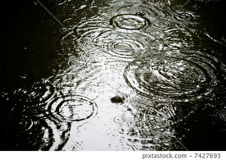 rain circle in puddle 7427693
