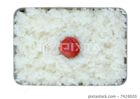 Hino Circle Bento Hino Circle Bento 7428020