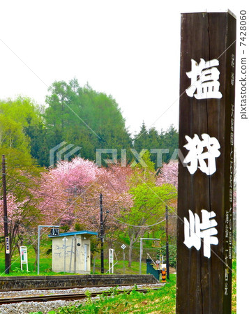 Shionogi pass 7428060