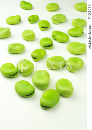 蠶豆軍團 7428083