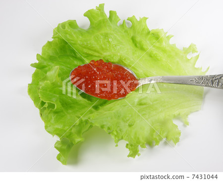 Silverspoon, lettuce and caviar 7431044