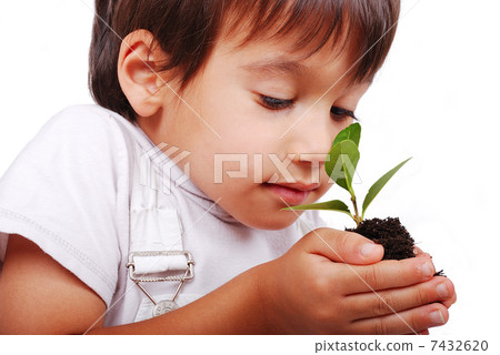 Little cute child holding green plant in hands Little cute child holding green plant in hands 7432620