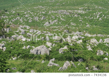 Akiyoshidai National Monument Park 7434136