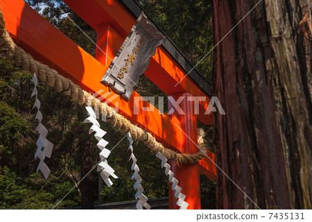 吉田神社本州鳥居 吉田神社本州鳥居 7435131