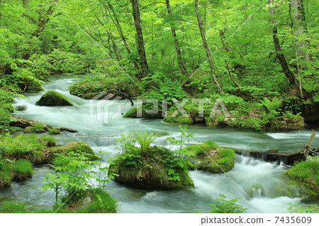 Oirase Setagaya Ishido沒有mase 7435609