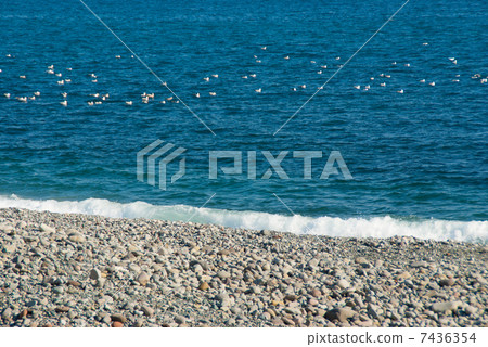 沿海景觀 沿海景觀 7436354