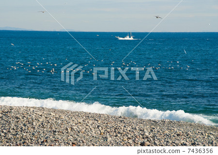 Coastal view Coastal view 7436356