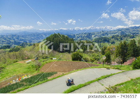 一個村莊，你可以看到阿爾卑斯山 7436557