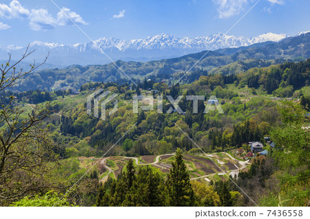 一個村莊，你可以看到阿爾卑斯山 7436558