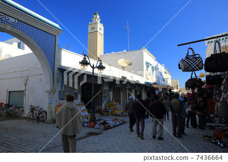 Navour in Tunisia 7436664