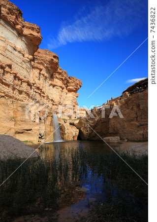 Chevica in Tunisia Chevica in Tunisia 7436822