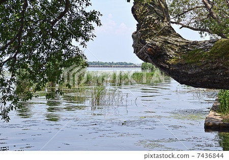 Karasumaru peninsula 7436844