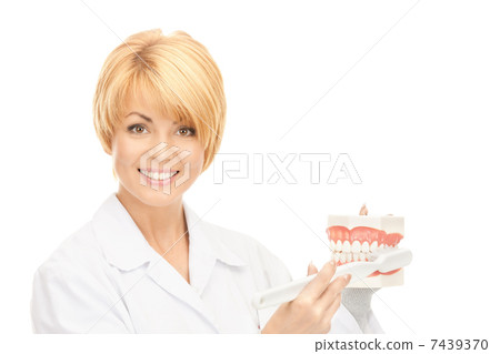 doctor with toothbrush and jaws doctor with toothbrush and jaws 7439370