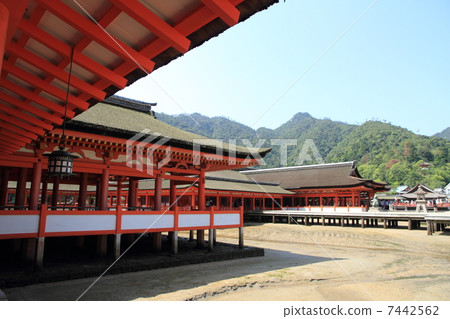 嚴島神社 7442562