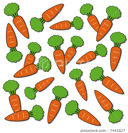 Carrot stalk Carrot stalk 7442827