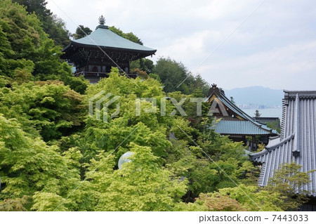 The cathedral 7443033