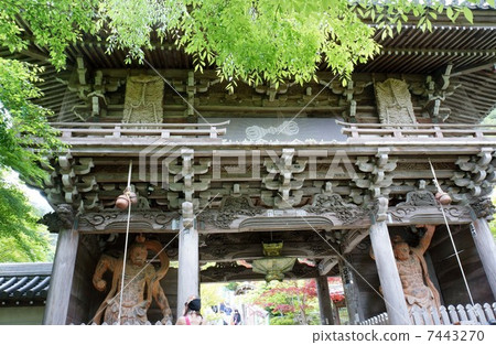 Daibou gate of the cathedral 7443270