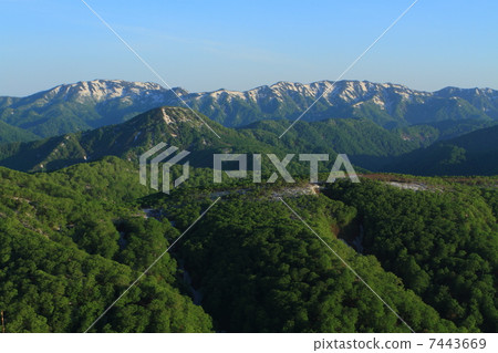新鮮的綠色Shirakami山 新鮮的綠色Shirakami山 7443669