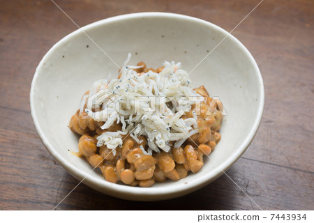 Shira Natto 7443934