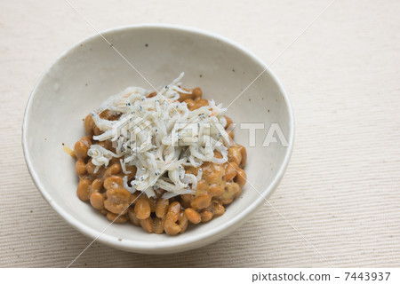 Shira Natto 7443937