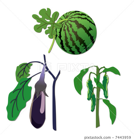 vegetable set 7443959