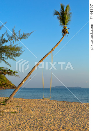 Swings on palm on tropical beach 7444597