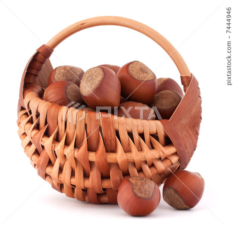 Hazelnuts in wicker basket 7444946