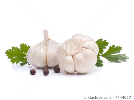 garlic bulb garlic bulb 7444957