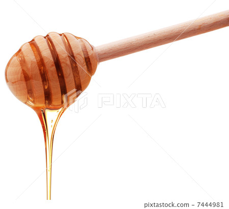 Honey dripping from a wooden honey dipper isolated on white back Honey dripping from a wooden honey dipper isolated on white back 7444981