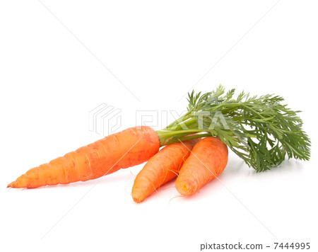 Carrot vegetable with leaves 7444995