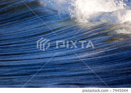 Wave Wave 7445044
