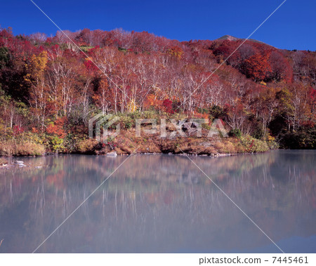 墓地的秋天 墓地的秋天 7445461