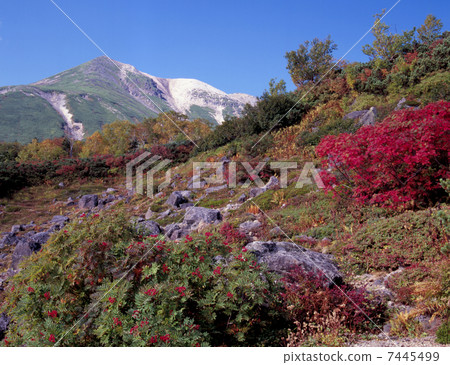 Norikura Kogen in early autumn Norikura Kogen in early autumn 7445499