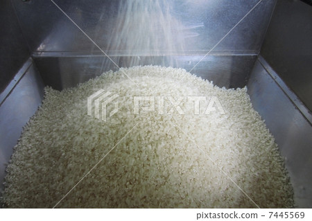 Polished rice 7445569